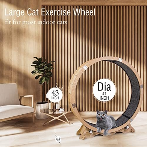 Треньор GinSent Cat Wheel за котки в затворени помещения, Голямо Дървено колело за упражнения с подобрен дизайн, Предварително Събрана