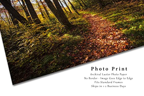 Снимка за разходки, Принт (без рамка), Изображение, Покрити с листа пътека, водеща към гората Късно следобед в Опушен планина, Тенеси,