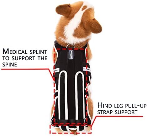 Бандаж за гърба LufeLux за кучета с IVDD, Артрит, Болки в гърба, Хирургично възстановяване и Рехабилитация, Облекчаване на болки в гърба при такси, Шлейка IVDD (Голяма)