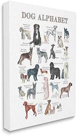 Таблица за обучение на животни Stupell Industries Dog Alphabet на Няколко породи, Дизайн от Dishique