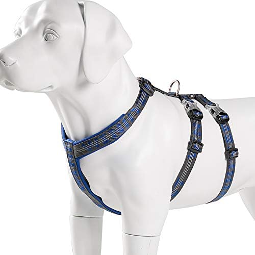 Chai's Choice - Шлейка за кучета от премиум-клас, без напрежение - Double H Trail Runner, Отразяваща жилетка с дължина 3 М за кучета (Голям, кралско синьо / сиво)