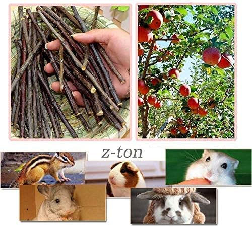 Z-TON Ябълка Пръчки, детски играчки за Дъвчене за домашни любимци, за Чинчили, Морски Свинчета, Зайци, Малки животни (100 г)