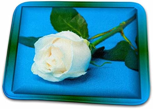 3D Роза Сюзън Браун Разработва Цветни теми - Влажна Бяла Роза - Постелки за баня (rug-48148-1)