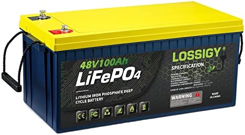 Литиева батерия LiFePO4 48V 100Ah със загуби, Вграден източник на захранване с мощност 5120 Wh, 100A BMS, идеален за количка за