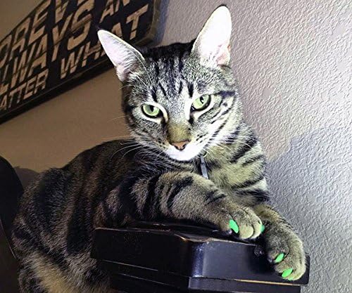 Purrdy Paws 3 Месечен доставка на Меки Капачки за нокти за Котки Сребро Холографски Блясък за Коте - Допълнителни Лепила