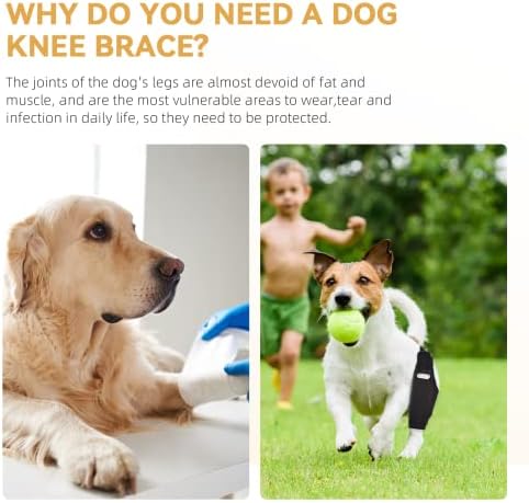 Наколенник за кучета SUYARE, Наколенник за краката на кучето за ACL с 10 Странични стабилизатор, на Хонорар и задните крака на кучето