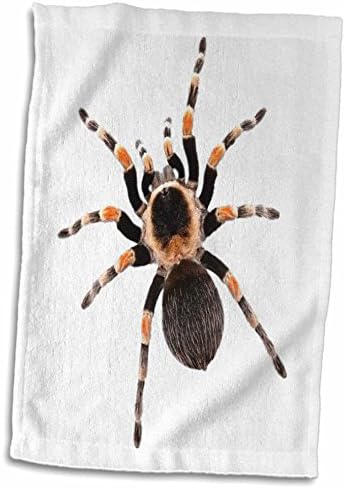Триизмерен тарантула изображение на гигантски космат тарантула на бял фон - Кърпи (twl-201874-3)