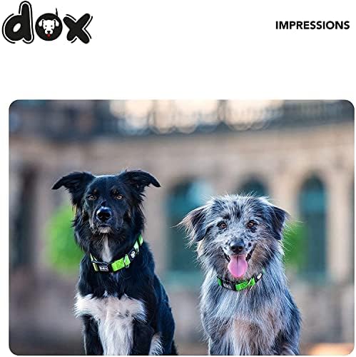 Найлонов нашийник за кучета DDOXX - Трайни и Регулируеми Нашийници За Кучета - XS (Син)