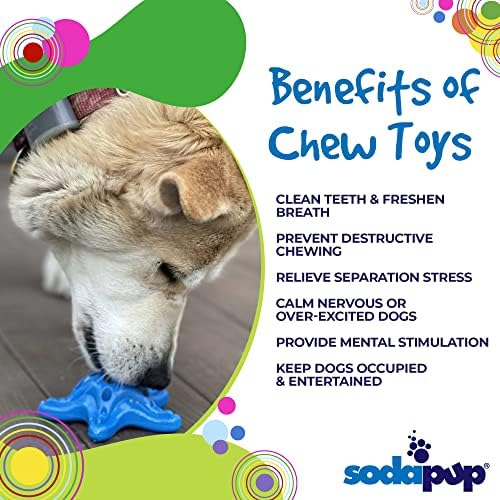 SodaPup Starfish – Здрава играчка за кучета, изработени в САЩ от действително нетоксичен, безопасен за домашни любимци и храни нейлонового материал за Умствено стимулира?