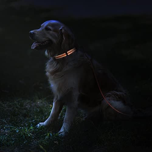 Отразяваща нашийник за кучета и нашийник с верига от Мартингейл - Комплект за момче, момиче или кученце средно куче - Засаждане на шията 14-18 см - Лаймово-зелена Ярък ц