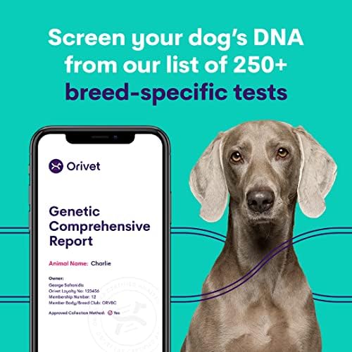 Комплект за анализ на ДНК на кучета ORIVET - Пълен профил на породата Лабрадор Ретривър | Тестване кученце на 250 медицински рискове за здравето и признаци | Генетичен от