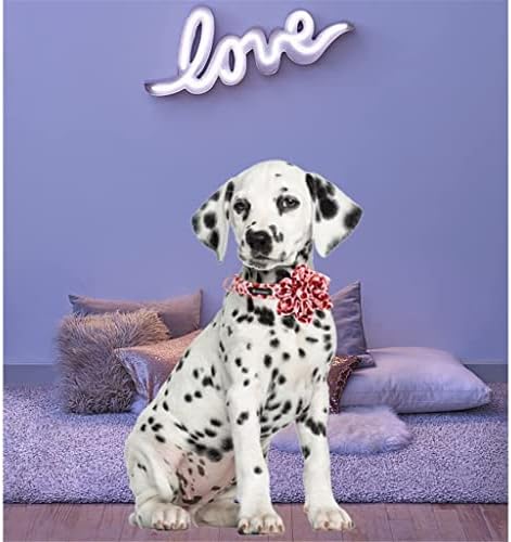 HFDGDFK Нашийник за кучета Valentine Red Heart с Флорални Регулируем Ошейником за кучета Големи и Средни по размер (Цвят: A, Размер:
