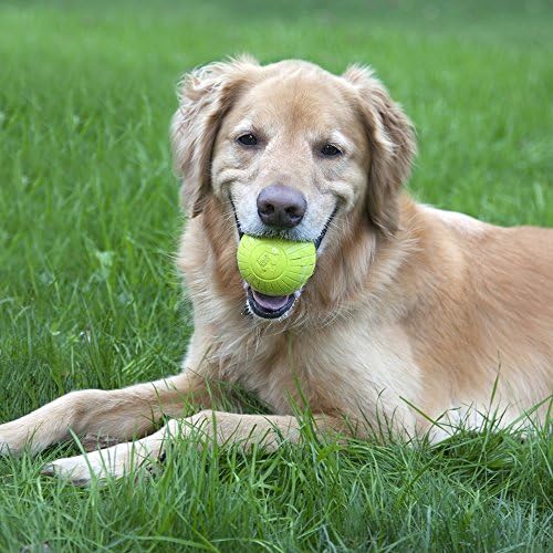 Играчка за кучета Chesapeake Bay Extreme Heavy Duty Fetch Balls 2 Опаковки