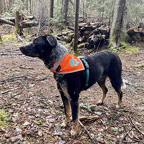 Светоотражающая кърпа SafetyPUP XD. Ярко оранжево нашийник-кърпа за кучета Hi Visibility Blaze за големи и малки домашни любимци.