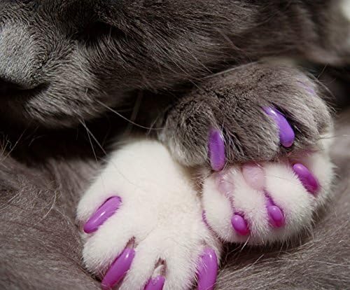 Капачки за нокти Кити Caps за котки | Чисто бяло и коралово-червени, 40 броя, Големи - 3 опаковки | Сигурна, Стилна и хуманен алтернатива отстраняване на нокът | Капачки за