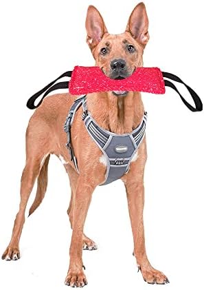 Играчка за теглене на въже, Играчка-възглавница за ухапване от куче с 2 дръжки, идеален за теглене на въже, Интерактивна игри за Дресура Кученца, Червена Пръчка за Ух