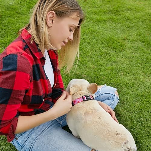 Нашийник за кучета QQPETS Малък Среден Голям: Регулируема Найлонов Сладък Цветен Модел за Момиче/Момче, Меки Удобни за Ходене, Джогинг,