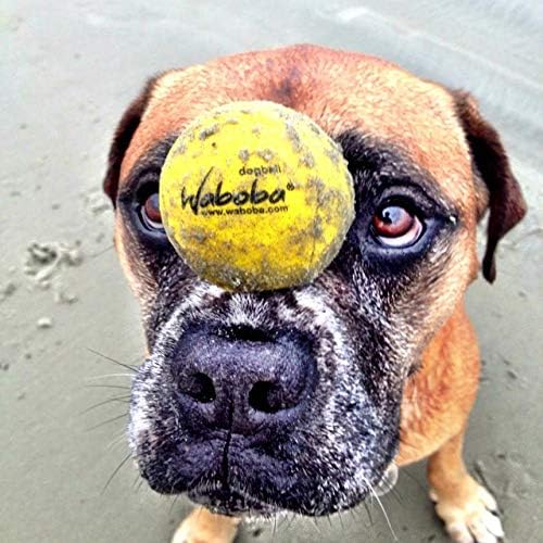 Водна топка Waboba Fetch за кучета (две опаковки)
