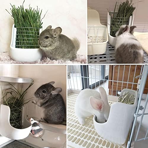 Хранилки за сено за зайци kathson керамични Поставки за мисок за хранене, бутилки за вода със заек, дъвки за малки животни, за зайци,