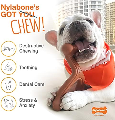 Nylabone Power Ivan Knuckle Bone Голямо Куче Дъвчене играчка с Пиле XX-Large /Чудовище (1 брой)