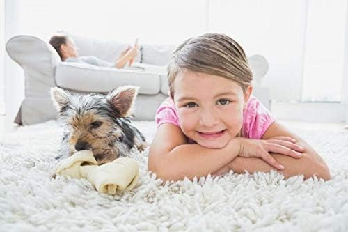 Средство за почистване на килими Capture Carpet & Rug Dry Cleaner (1 паунд), каталитичен конвертор на петна и миризми от домашни животни (32 мл), Препарат за премахване на петна от до