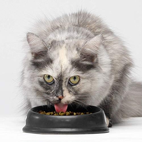 Набор от суха храна за котки с открит фермерским уловом от бяла риба и домашно пуешко и Пилешко, 4 килограма