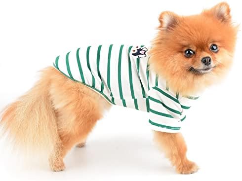 Тениска PAIDEFUL Small Dog В Ивица с Хубав Мечка, Пролетно-Летни Дрехи За малки Кученца, Мек, Удобен Костюм за кучета, Зелен, XS