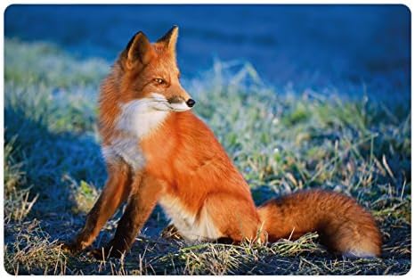 Подложка за домашни любимци Ambesonne Fox за храна и вода, Спокойно Есен полето Студено сутринта с Лисьим Природа, Трева Проницательная,