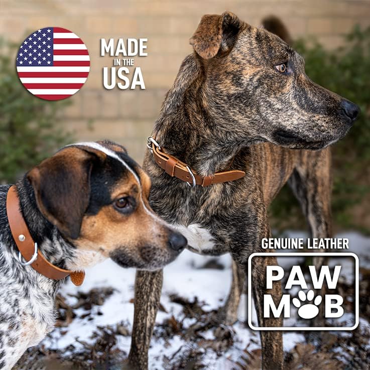 Нашийник за кучета от естествена кожа премиум-клас PawMob (произведено в САЩ), Мека и Податливая Естествена кожа с 2 D-образна лети пръстени, за кучета X-Small Малки и средн?