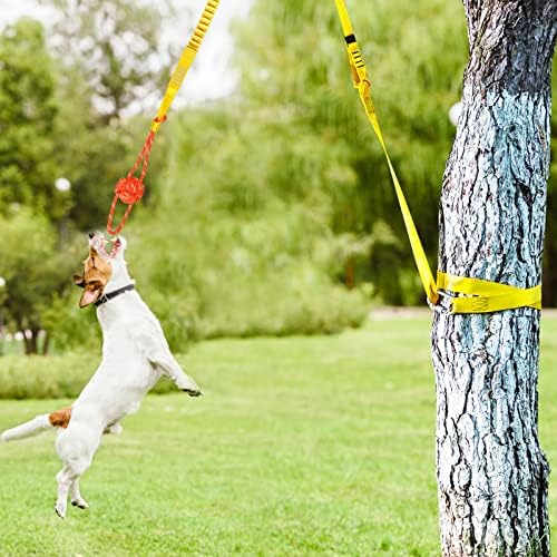 Кабел за свързване на кучета XiaZ за къмпинг, Преносима Количка за Джогинг кучета с 10-футовым каишка, Играчки за теглене въже за малки или по-Големи Кучета