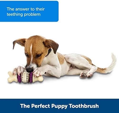 Яки Medium Bristle Bone & Treat Зареждане Combo - Играчка за задържане лакомства за кучета с 60 добавки в пълен комплект - Екстри